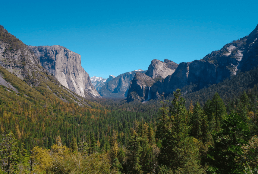 tour_guides_image